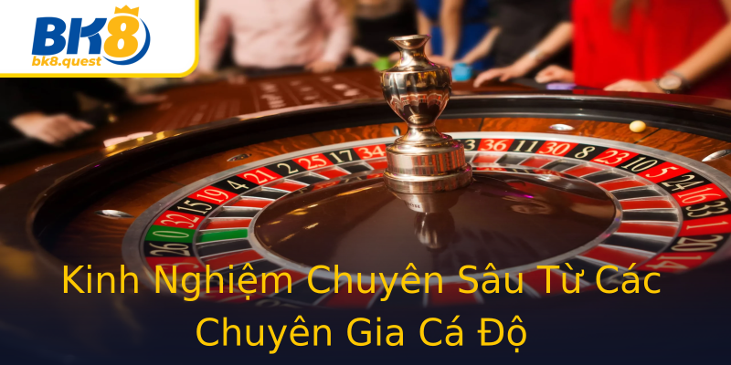Kinh Nghiệm Chuyên Sâu Từ Các Chuyên Gia Cá Độ Kinh Nghiệm Chuyên Sâu Từ Các Chuyên Gia Cá Độ