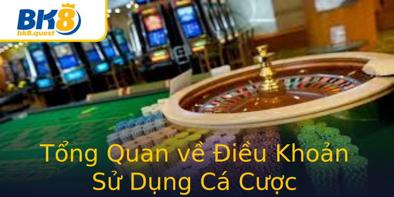 Tổng Quan về Điều Khoản Sử Dụng Cá Cược Tổng Quan về Điều Khoản Sử Dụng Cá Cược